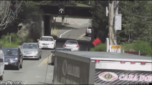 Animated Fails (17 gifs)