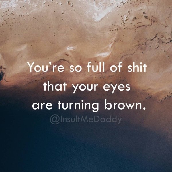 Smart Insults (23 pics)