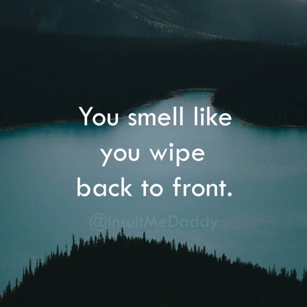Smart Insults (23 pics)