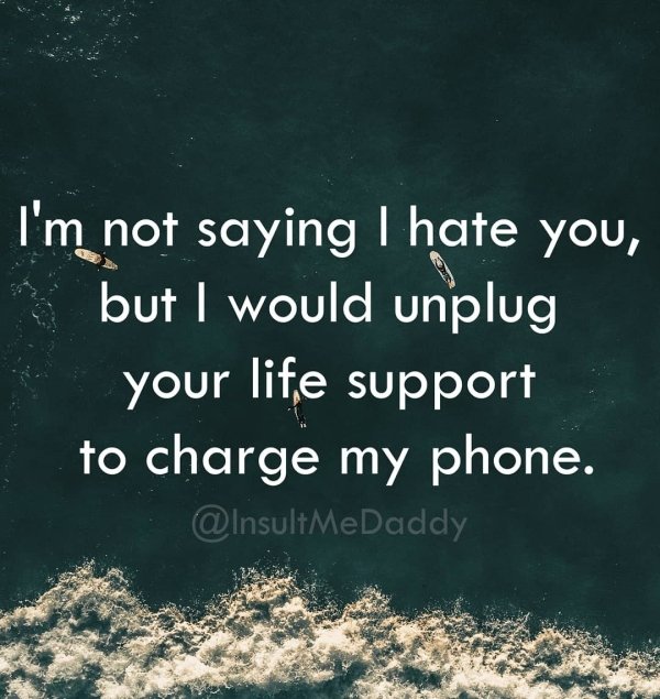 Smart Insults (23 pics)