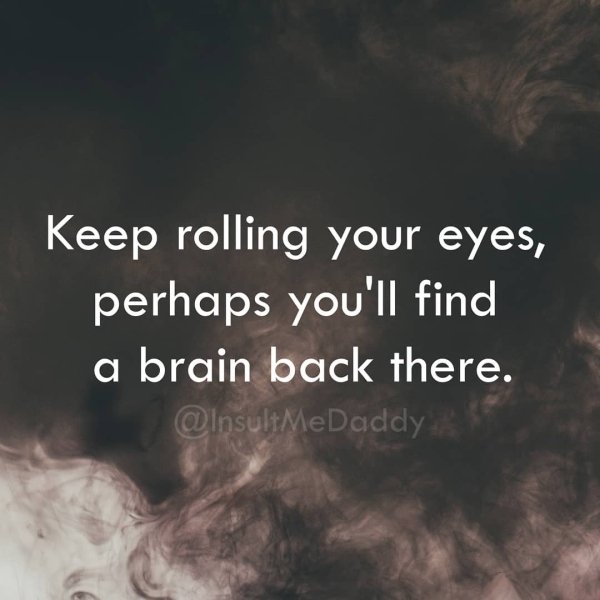 Smart Insults (23 pics)