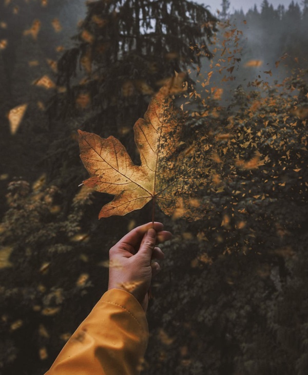 19-Year-Old Turkish Guy Who Turns His Dreams Into Pictures (30 pics)