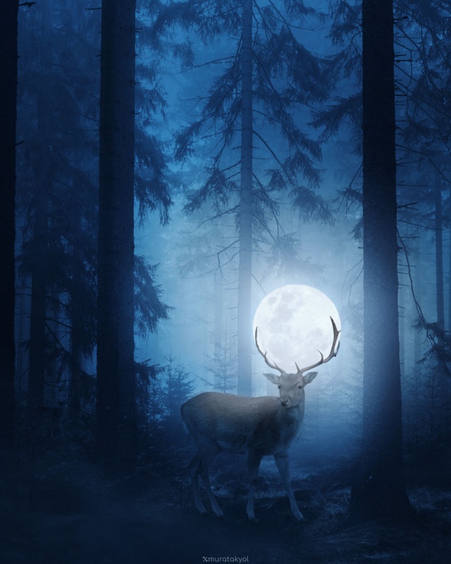 19-Year-Old Turkish Guy Who Turns His Dreams Into Pictures (30 pics)