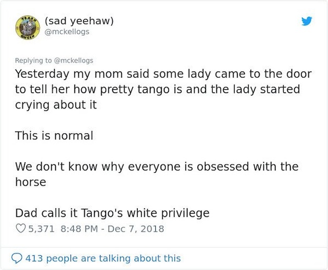 ‘Tango’ The Horse Is Very Smart (14 pics)