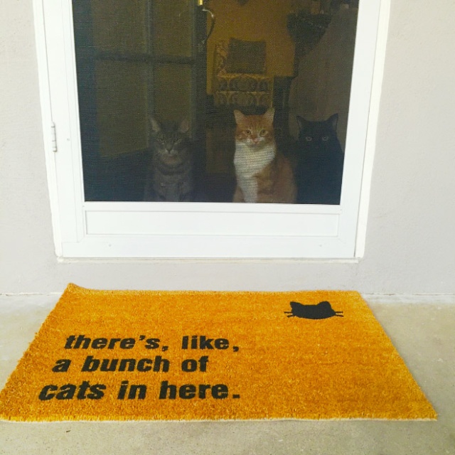 Funny Doormats (20 pics)