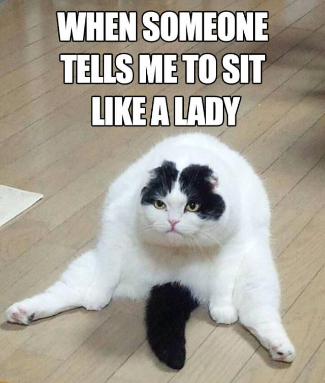Memes For Feminists (45 pics)
