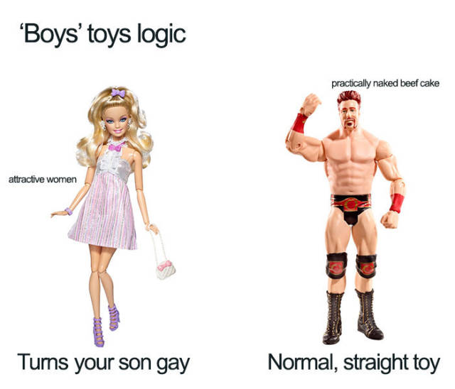 Memes For Feminists (45 pics)