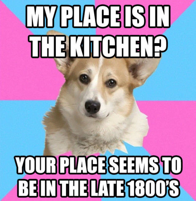 Memes For Feminists (45 pics)
