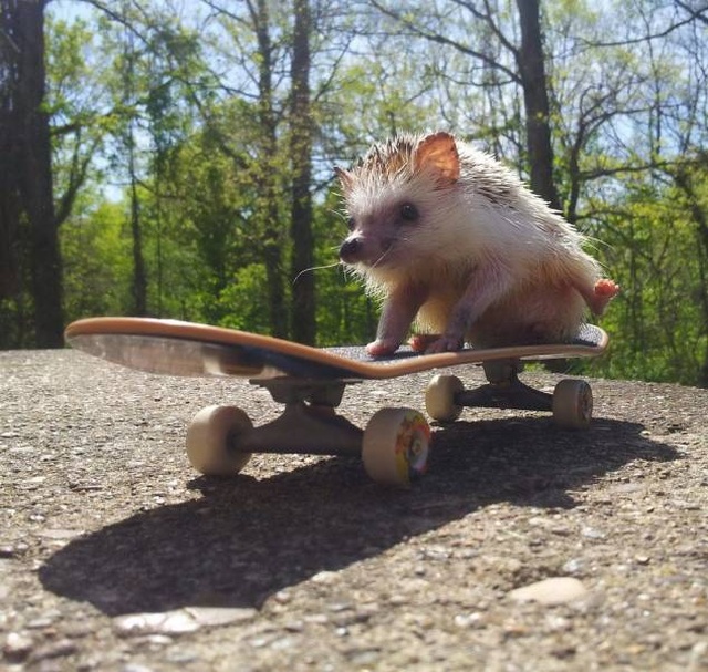 Acid Picdump (99 pics)
