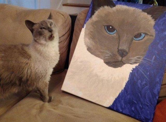Acid Picdump (99 pics)