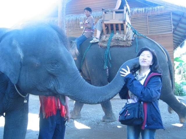 Acid Picdump (99 pics)