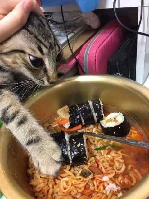 Acid Picdump (99 pics)
