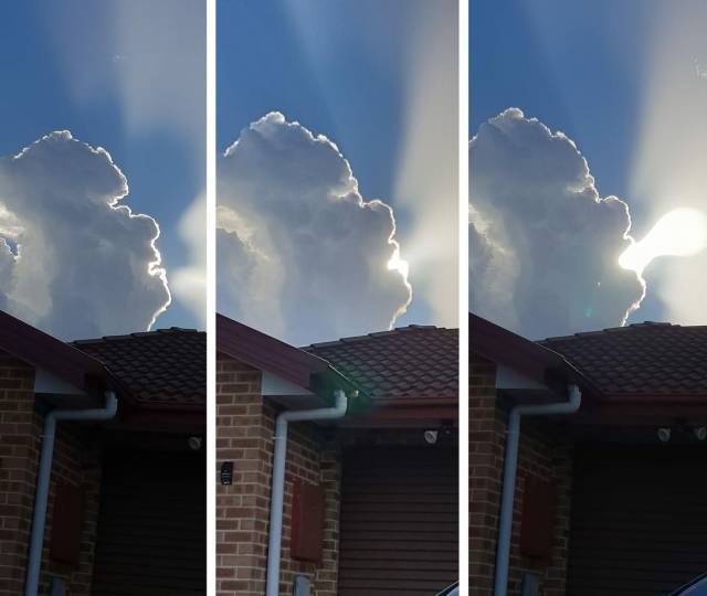 Acid Picdump (99 pics)
