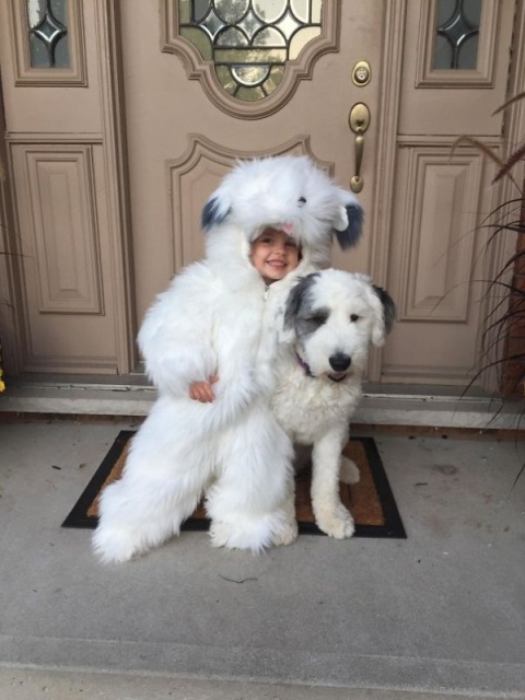 Kids And Dogs (25 pics)