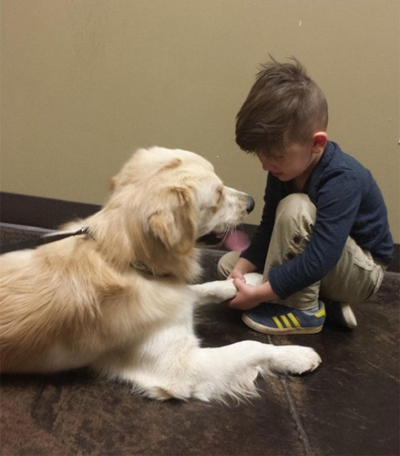 Kids And Dogs (25 pics)