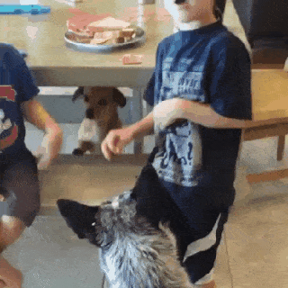Acid Gifdump, December 21 (25 gifs)