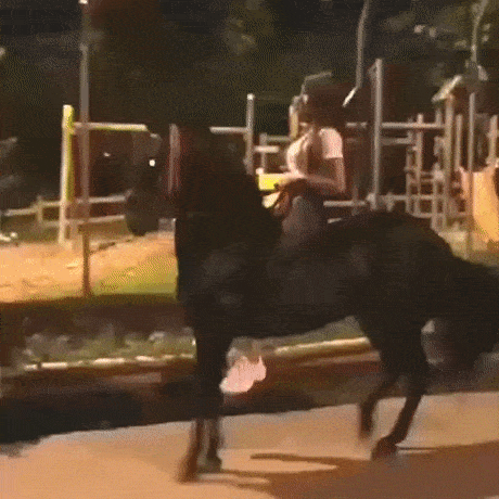 Acid Gifdump, December 21 (25 gifs)