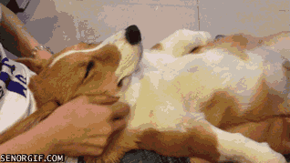 Acid Gifdump, December 21 (25 gifs)
