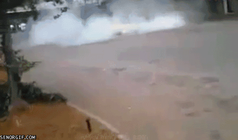Acid Gifdump, December 21 (25 gifs)