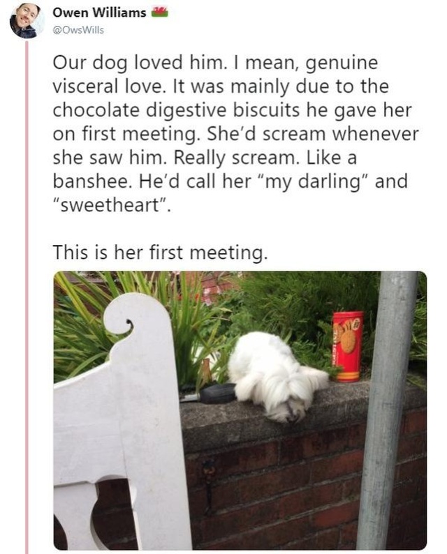 The Best Neighbor Of 2018 (11 pics)