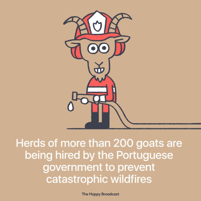 Good News Illustrated (30 pics)
