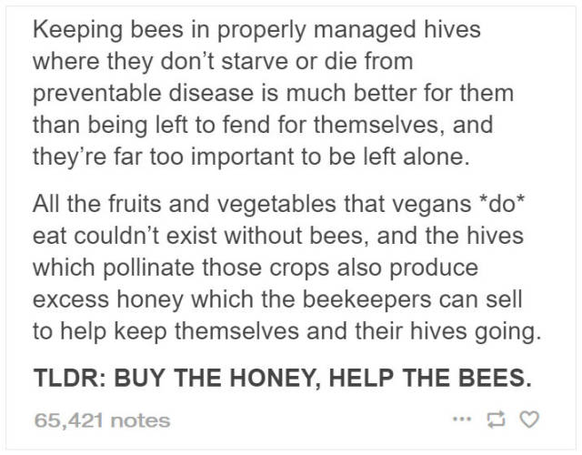 Beekeepers Try To Convince Vegans To Eat Honey (12 pics)