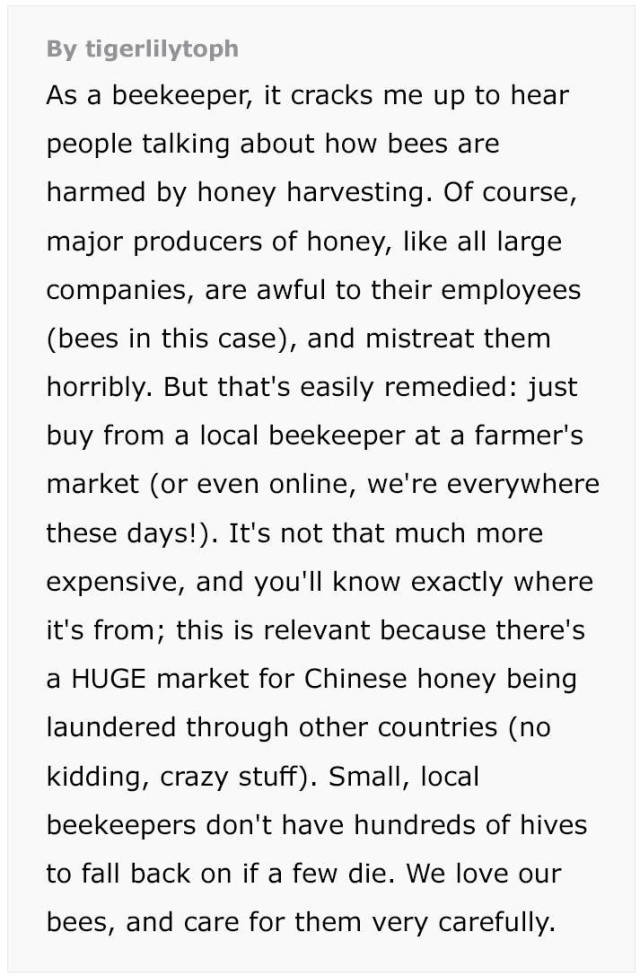Beekeepers Try To Convince Vegans To Eat Honey (12 pics)