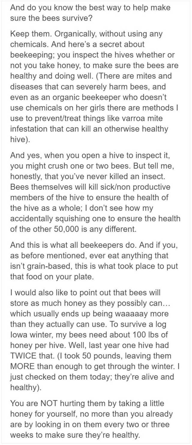 Beekeepers Try To Convince Vegans To Eat Honey (12 pics)