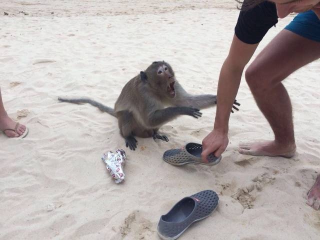 Acid Picdump (112 pics)