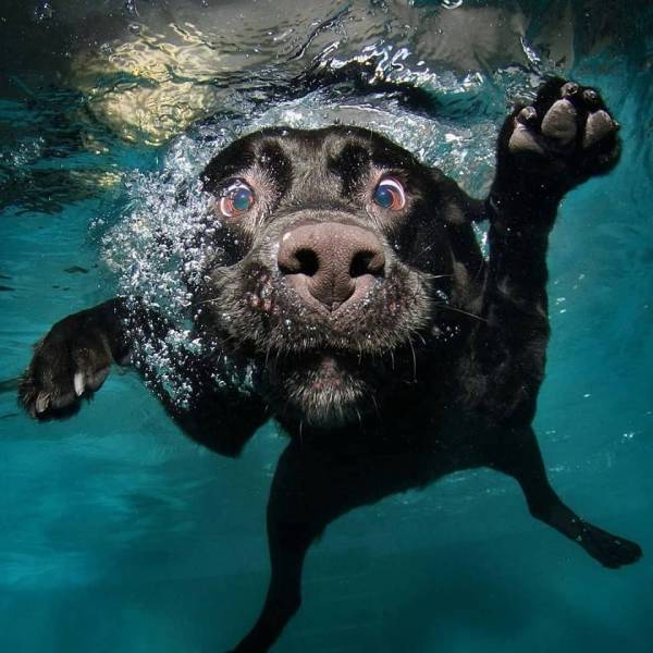 Acid Picdump (112 pics)