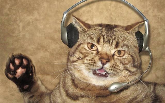 Acid Picdump (112 pics)