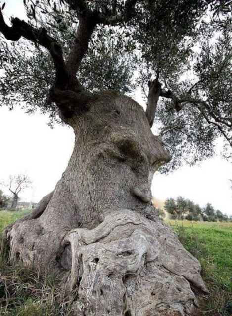 Acid Picdump (112 pics)
