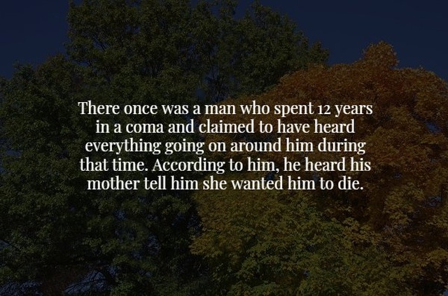 Scary Facts (17 pics)