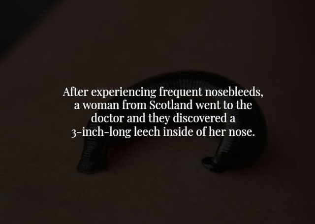 Scary Facts (17 pics)