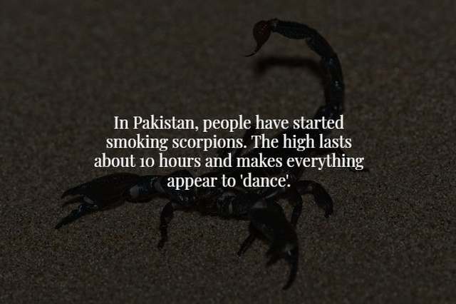 Scary Facts (17 pics)