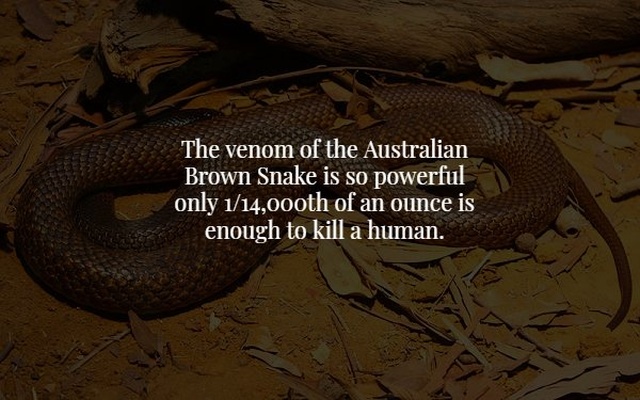 Scary Facts (17 pics)