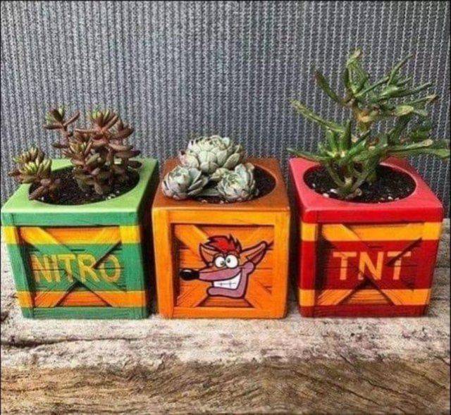 Pictures For Gamers (35 pics)