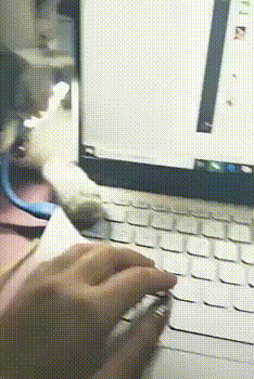 Acid Gifdump, December 24 (25 gifs)