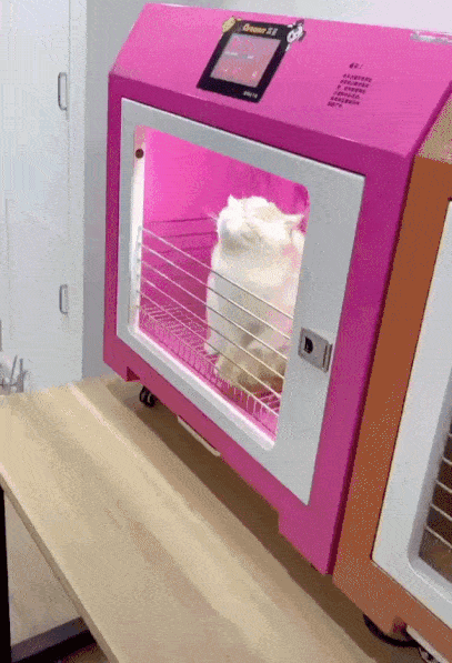 Acid Gifdump, December 24 (25 gifs)