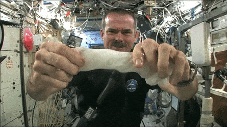 Acid Gifdump, December 24 (25 gifs)