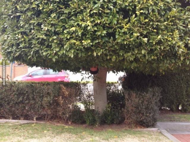 WTF Photos (35 pics)
