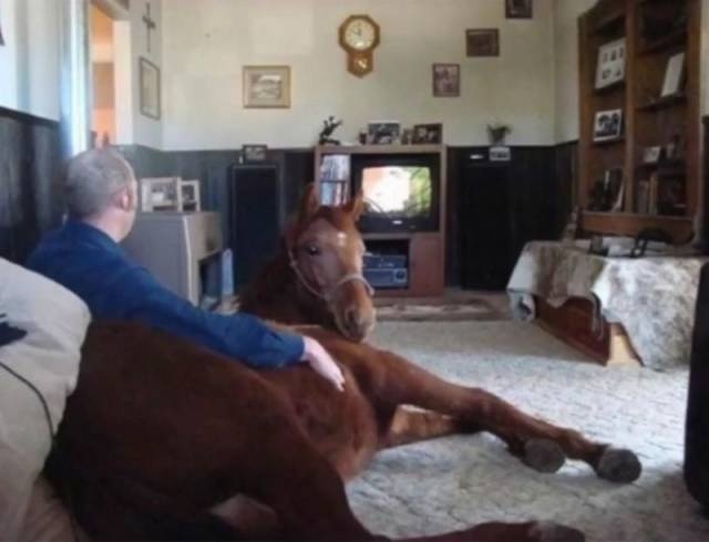 WTF Photos (35 pics)