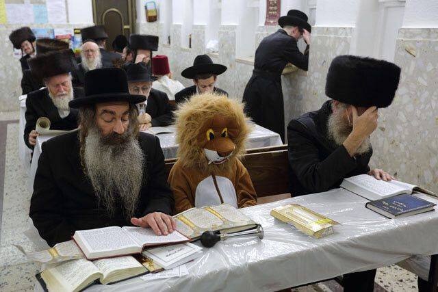 WTF Photos (35 pics)