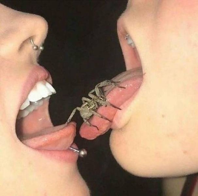 WTF Photos (35 pics)
