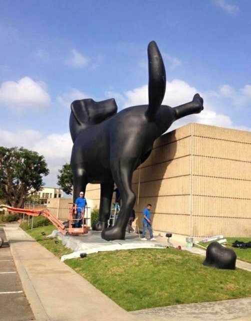 WTF Photos (35 pics)