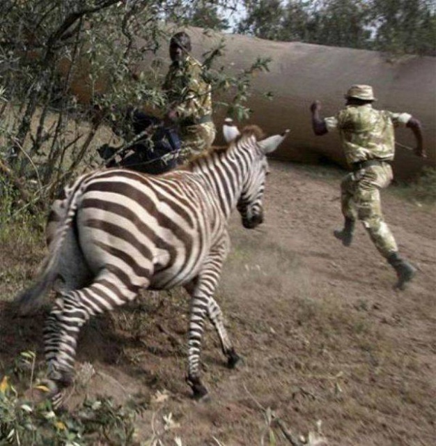 WTF Photos (35 pics)
