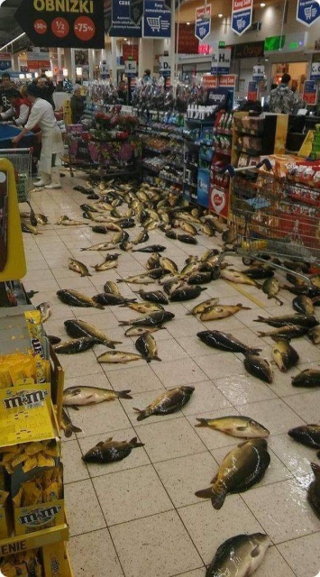 WTF Photos (35 pics)