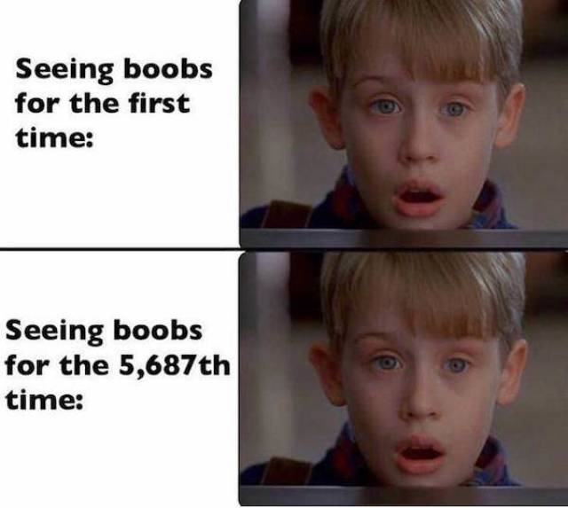 Memes About Boobs (26 pics)