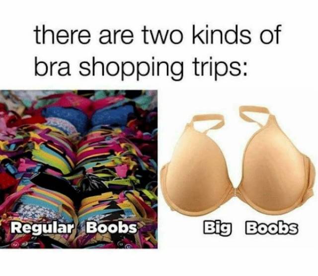 Memes About Boobs (26 pics)