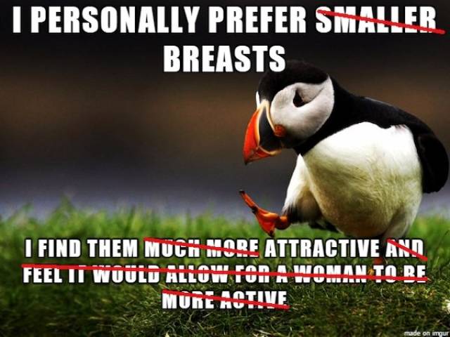 Memes About Boobs (26 pics)